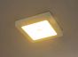 LED stropna svjetiljka sa senzorom Globo SVENJA 41606-18S