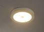 LED stropna svjetiljka sa senzorom Globo PAULA 41605-18S