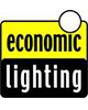 Economic Lightning